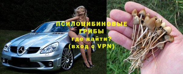 бошки Ельня