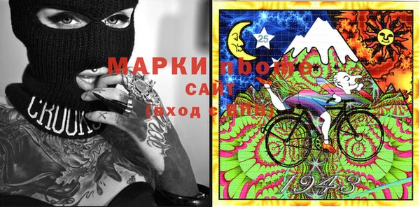 apvp Алзамай