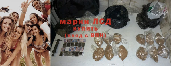 apvp Алзамай