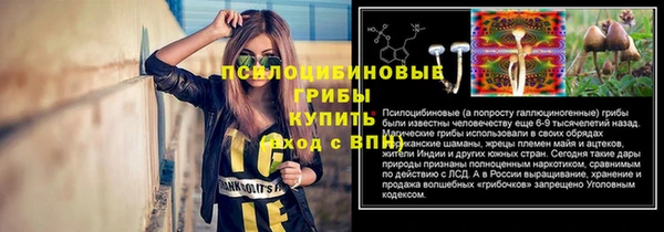 ALPHA PVP Алексин
